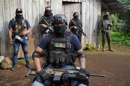 empleo narco