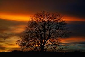 OTOÑO